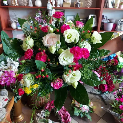 Kwiaciarnia "Orchidea"